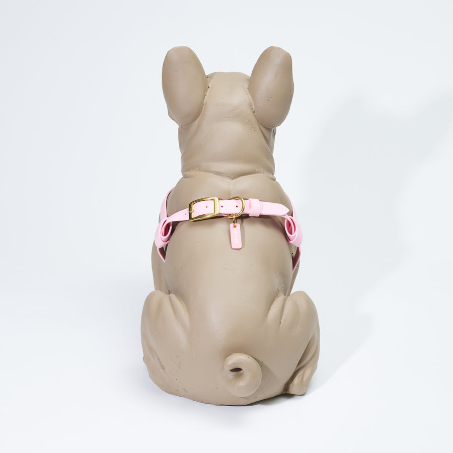 Waterproof Jellies Harness - Seashell