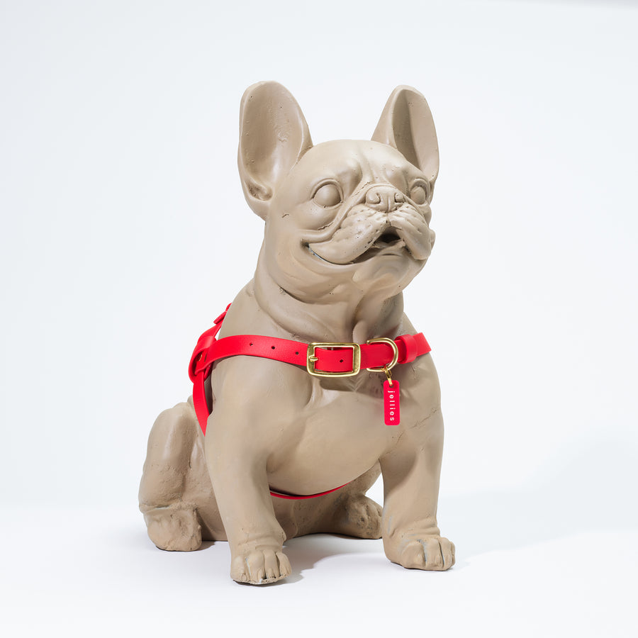 Waterproof Jellies Harness - Champion