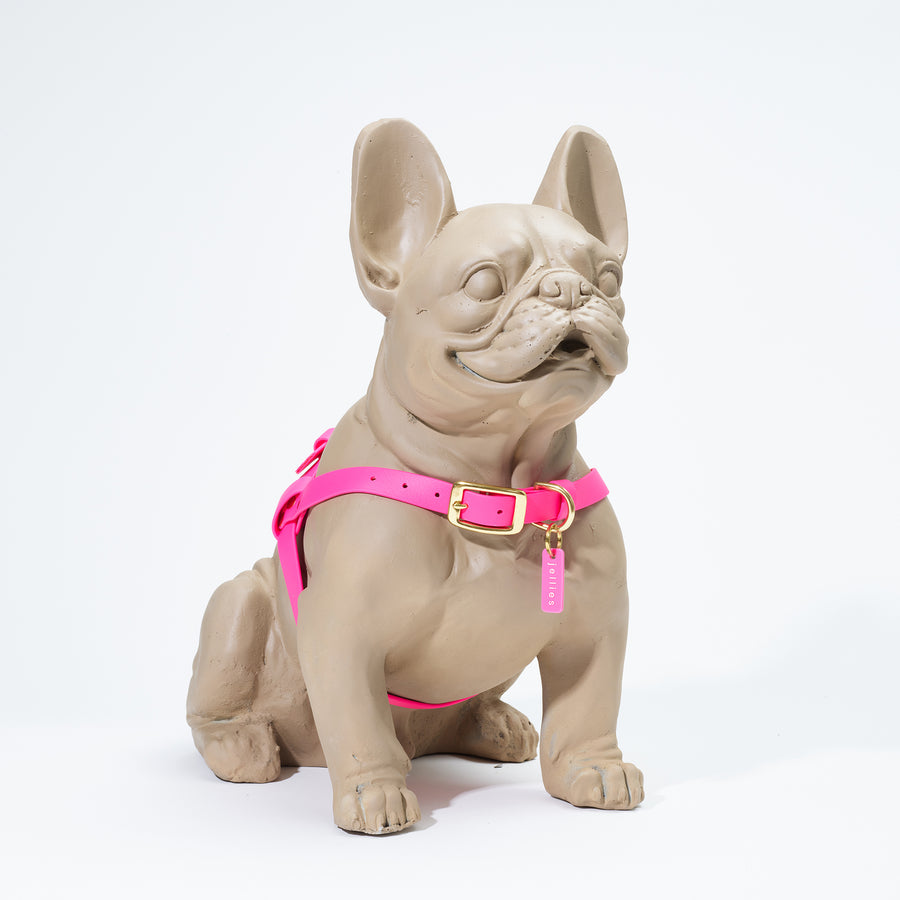 Waterproof Jellies Harness - Wild Rose