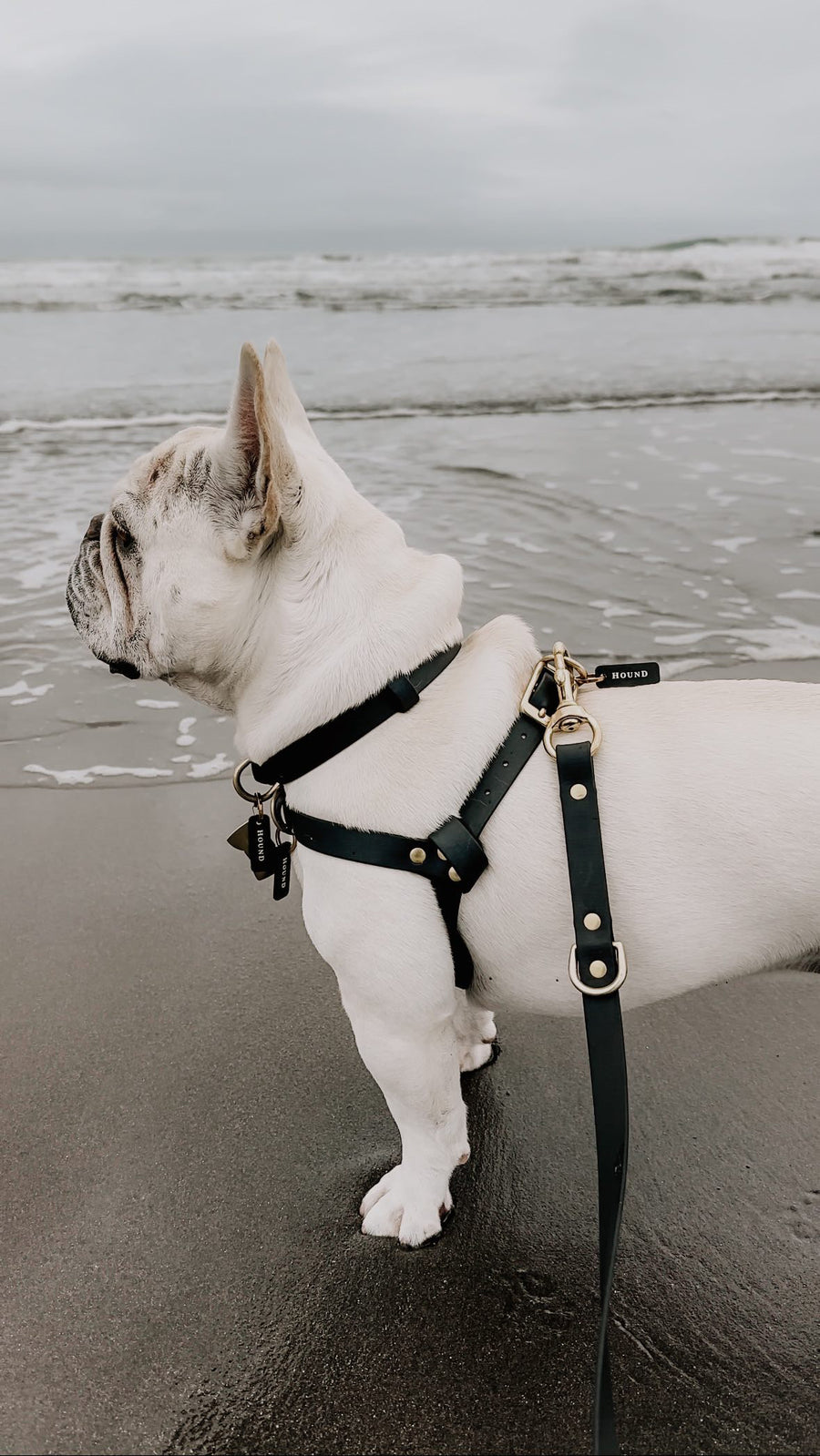 Waterproof Jellies Harness - Caviar