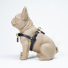 Waterproof Jellies Harness - Caviar