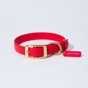 Waterproof Jellies Collar - Champion