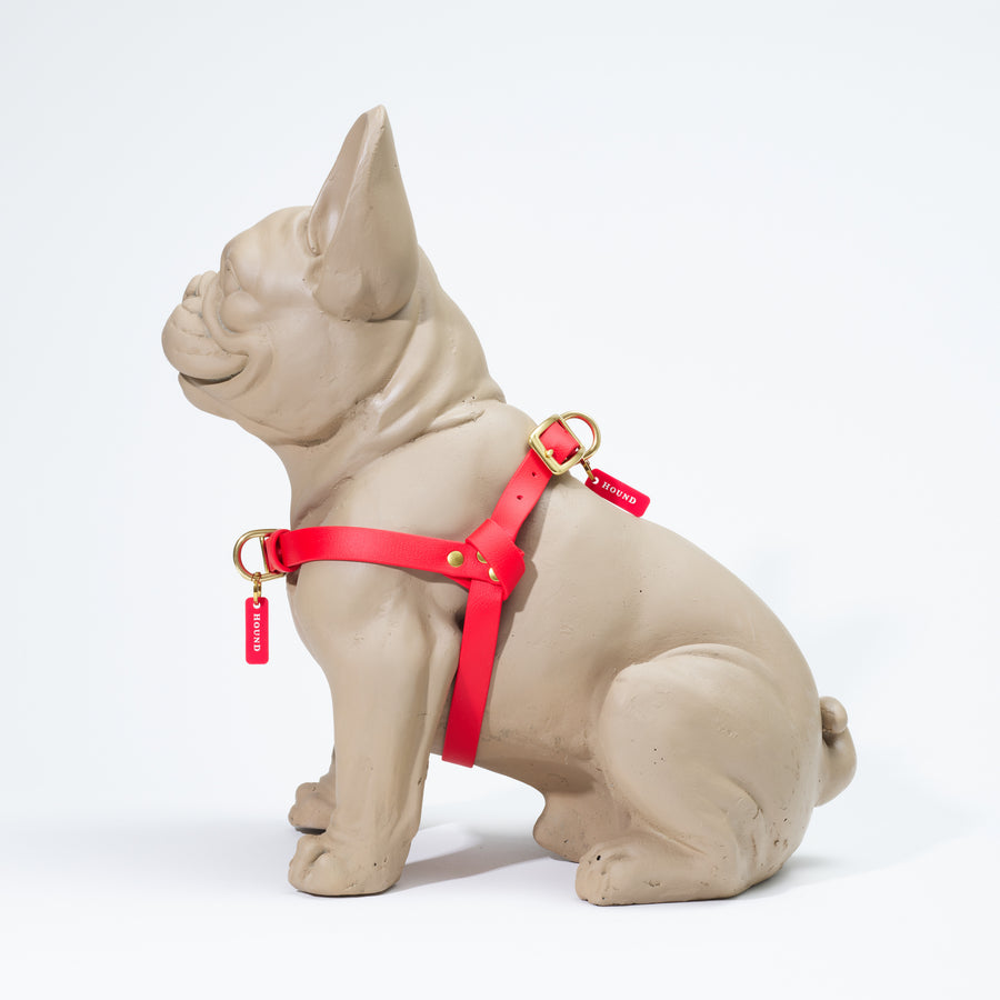 Waterproof Jellies Harness - Champion