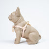 Waterproof Jellies Harness - Dune