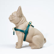 Waterproof Jellies Harness - Hunter