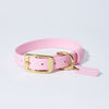 Waterproof Jellies Collar - Seashell