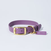 Waterproof Jellies Collar - Aurora