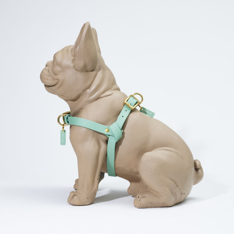 Waterproof Jellies Harness - Harbour