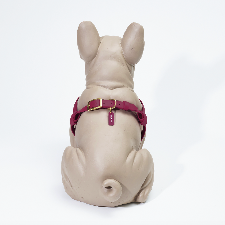 Waterproof Jellies Harness - Pomegranate