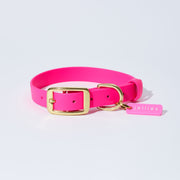 Waterproof Jellies Collar - Wild Rose