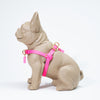 Waterproof Jellies Harness - Wild Rose