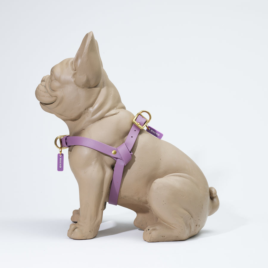 Waterproof Jellies Harness - Aurora