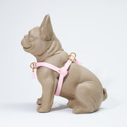 Waterproof Jellies Harness - Seashell