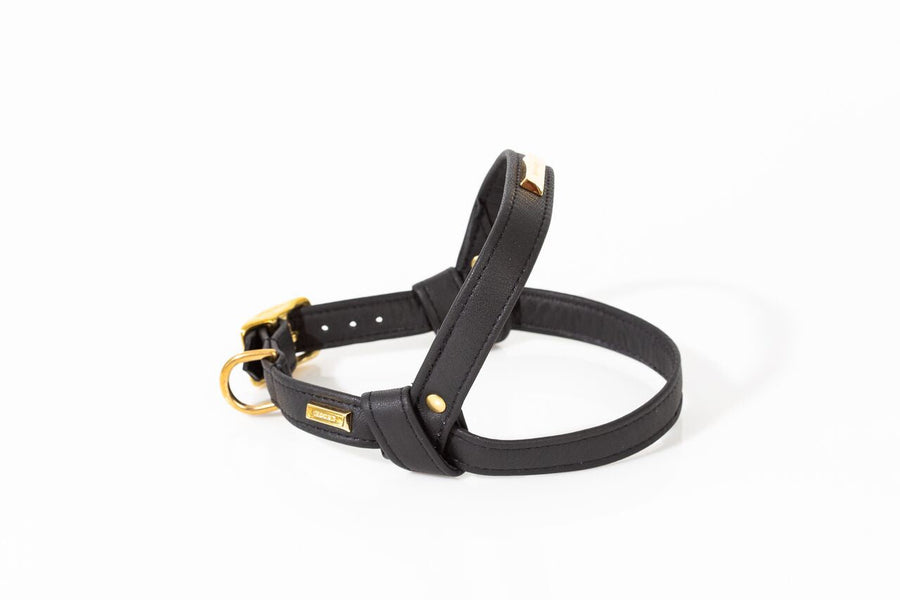 Harness in Dusk Leather